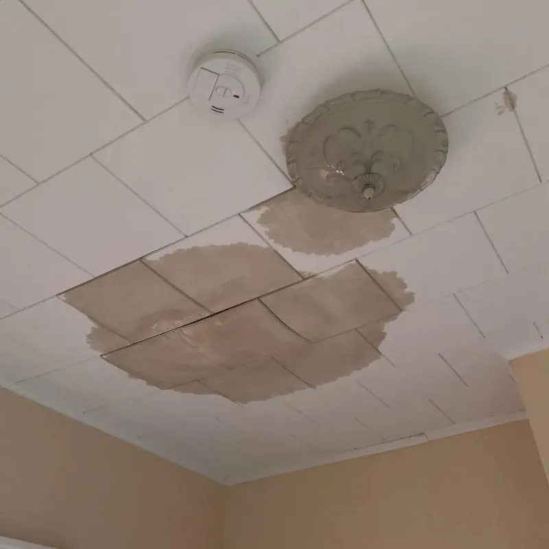 Ceiling Water Damage Repair in Lake Crystal, MN