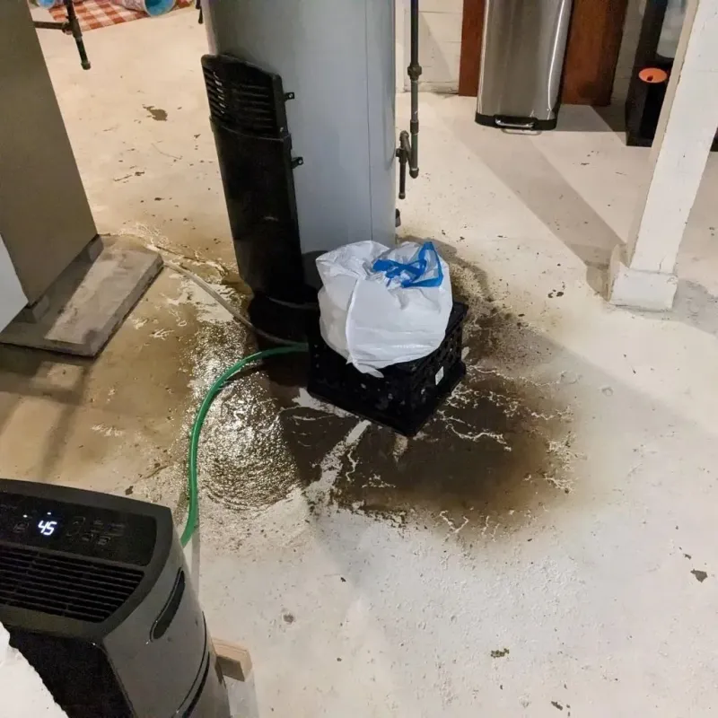 Sewage Backup Cleanup Service in Lake Crystal, MN